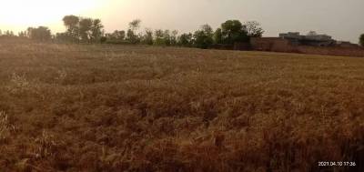 Best location on the carpet road Land for Sale Okara