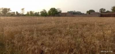 Best location on the carpet road Land for Sale Okara
