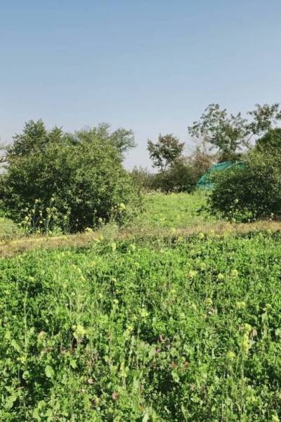 1600 Kanal Land for Sale in  Village Dhok Gangal Adayala Road, Rawalpindi