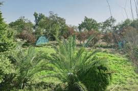 1600 Kanal Land for Sale in  Village Dhok Gangal Adayala Road, Rawalpindi