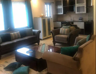Weekly Daily Basis One kanal FULL Furnished house in Lahore